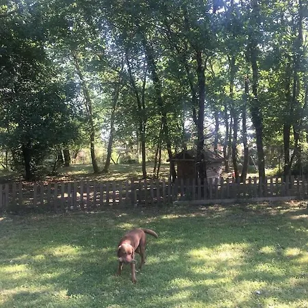 180m2 Proche Villa Hourtin